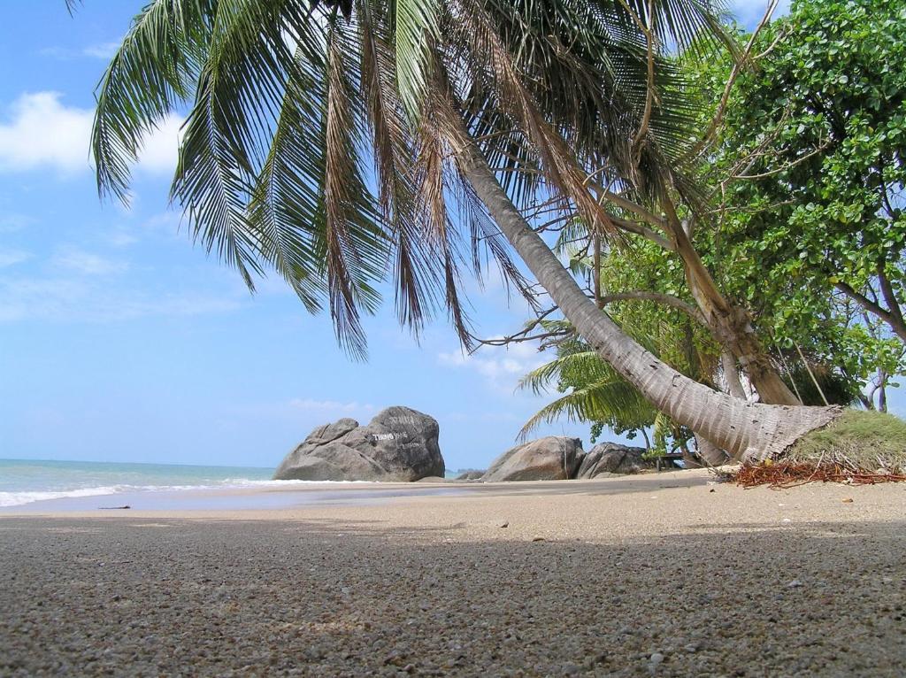 Thong Yang Bungalow Ko Pha Ngan Exterior foto